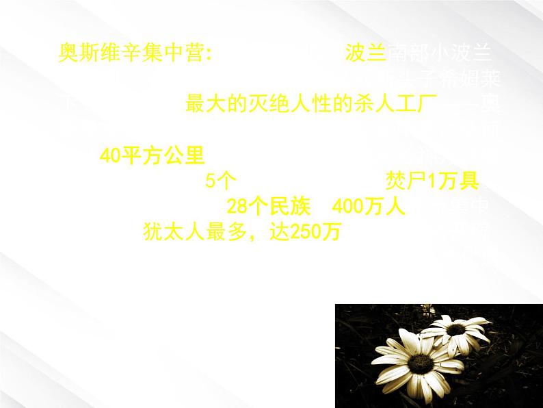 年高一语文课件 4.10.2《奥斯维辛没有什么新闻》（新人教版必修1）03