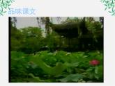 语文：1.1《荷塘月色》课件（2）（新人教版必修2）
