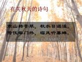 学年高一语文课件：1.2《故都的秋》（新人教版必修2）