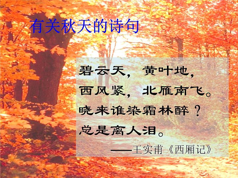 学年高一语文课件：1.2《故都的秋》（新人教版必修2）第6页