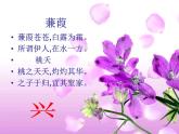 语文：2.4.1《氓》课件（新人教必修2）