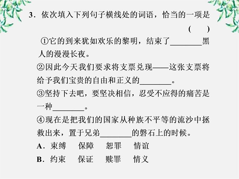 【年暑假礼包】高一语文精品课件：4.12《我有一个梦想》第二课时（新人教版必修2）03