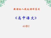 学年高一语文课件：4.12《我有一个梦想》（新人教版必修2）