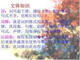 陕西省西安市第六十六中学高一语文课件：1.1《沁园春·长沙》（新人教版必修1）146