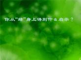 陕西省西安市第六十六中学高一语文课件：1.3《囚绿记1》（新人教版必修2）