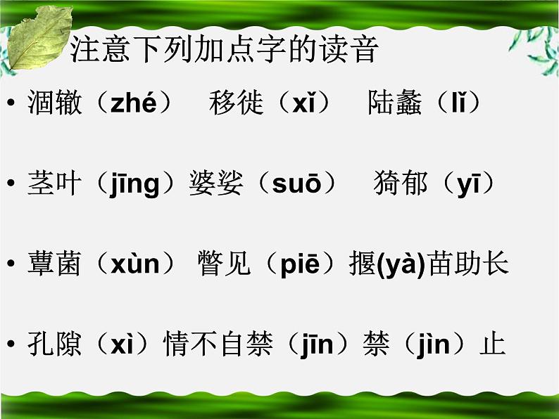 【ks5u参赛课件】语文：1.3《囚绿记》2（新人教版必修2）08