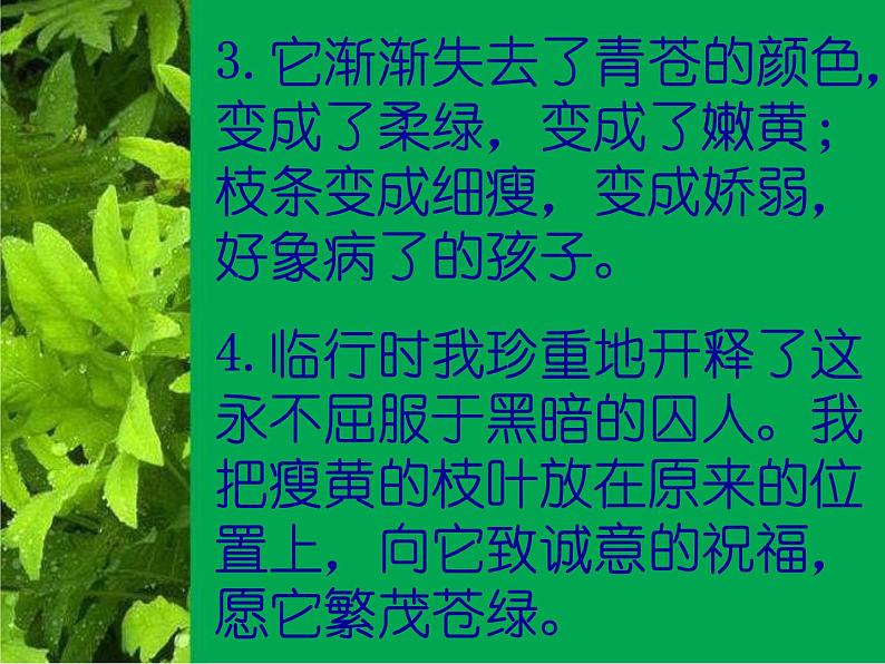 【年暑假礼包】高一语文精品课件：1.3《囚绿记》1（新人教版必修2）06