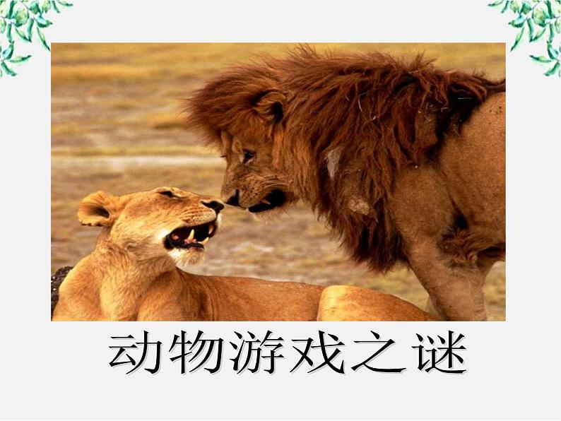 语文：4.12《动物游戏之谜》课件（新人教版必修3）第7页