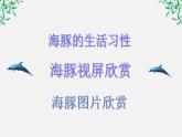 语文：4.12《动物游戏之谜》课件（新人教版必修3）1