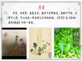 插秧歌PPT课件免费下载
