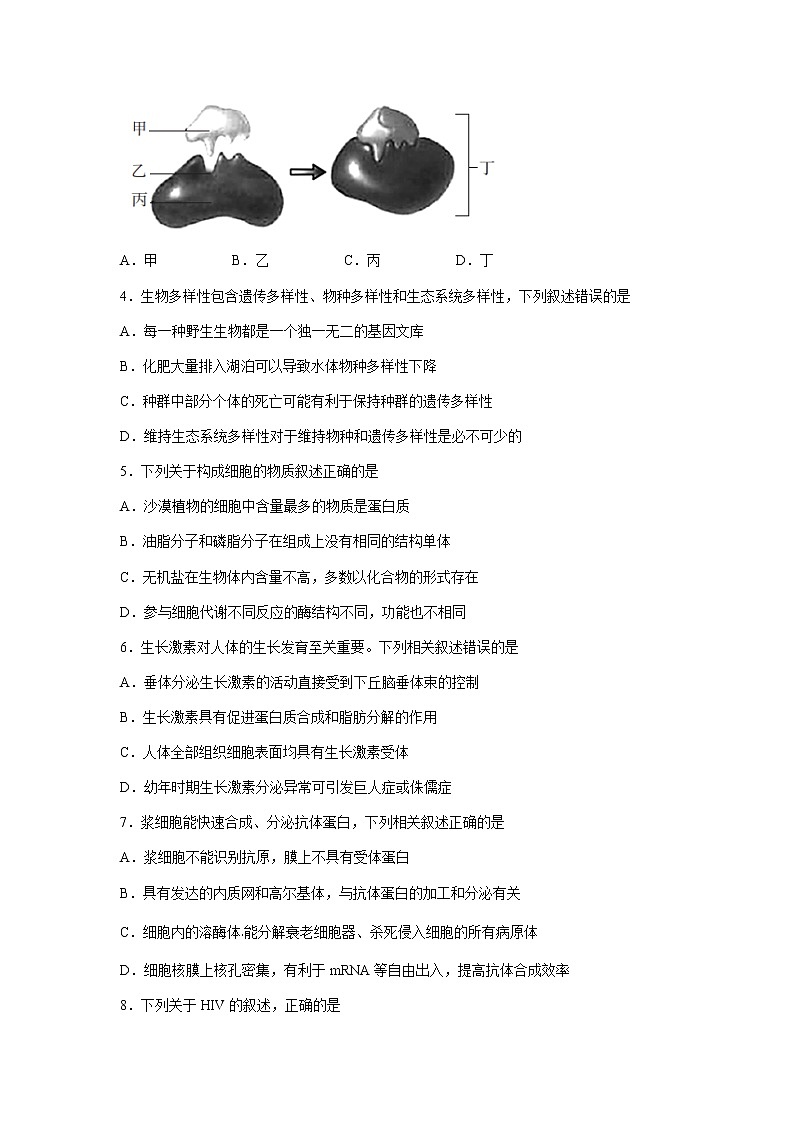 2022届浙江省普通高中强基联盟高三统测生物试题含答案第2页