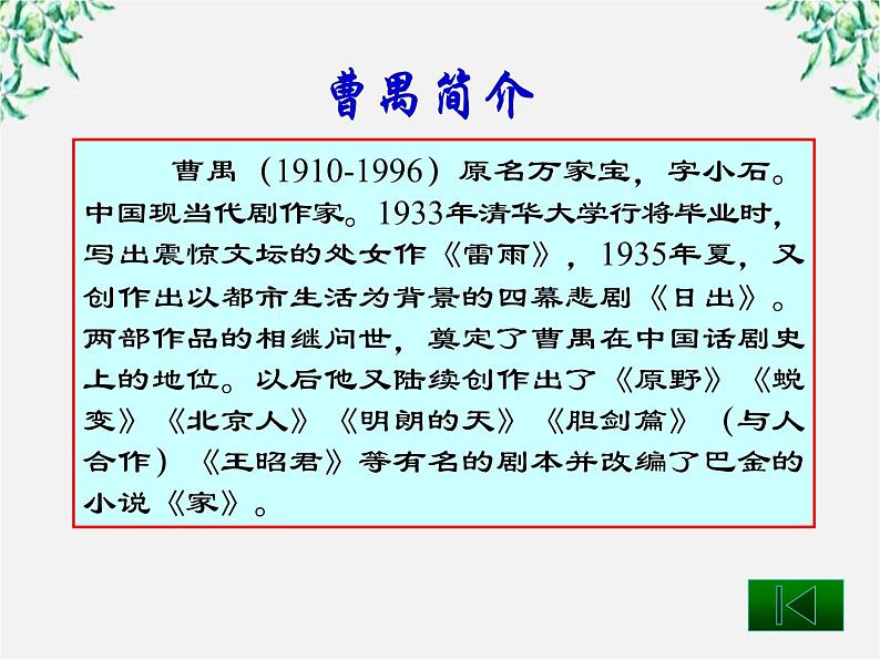 语文：1.2《雷雨》课件（2）（新人教版必修4）第4页