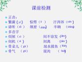 年高二语文暑期备课课件：1.2《雷雨》3（新人教版必修4）988