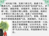 云南省红河州弥勒县庆来学校高一语文课件：《柳永词两首》1084