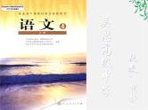 《水龙吟 登建康赏心亭》（新人教必修4）.课件PPT