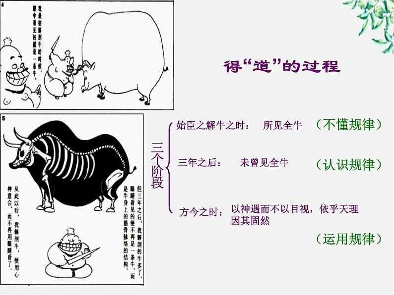 高中语文人教版选修大全：《庖丁解牛》教案课件PPT04