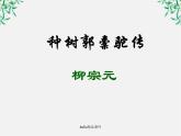 语文：6.1《种树郭橐驼传》课件（新人教选修《中国古代诗歌散文欣赏》）