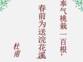 语文：6.1《种树郭橐驼传》课件（新人教选修《中国古代诗歌散文欣赏》）