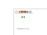 5《雷雨》课件48张2021-2022学年统编版高中语文必修下册