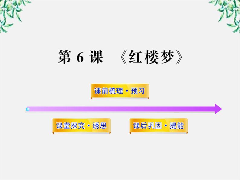 高中语文课时讲练通配套课件：《红楼梦》（新人教版·选修）01