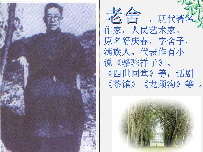 届高二语文课件：8.16《骆驼祥子》导读（新人教版选修《中国小说欣赏》）01