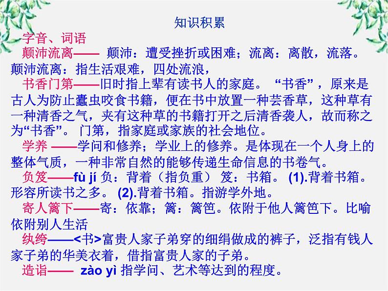 高二语文：第8课 杨振宁：合璧中西科学文化的骄子 课件2（人教版选修《中外传记作品选读》）第5页