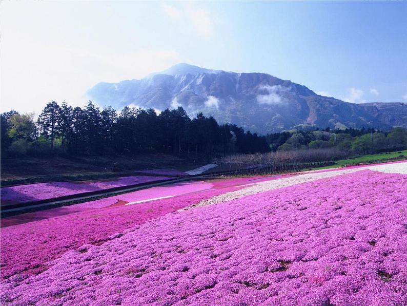 高中语文人教版选修大全：《语言表达的十八般武艺——修辞手法》课件1第1页