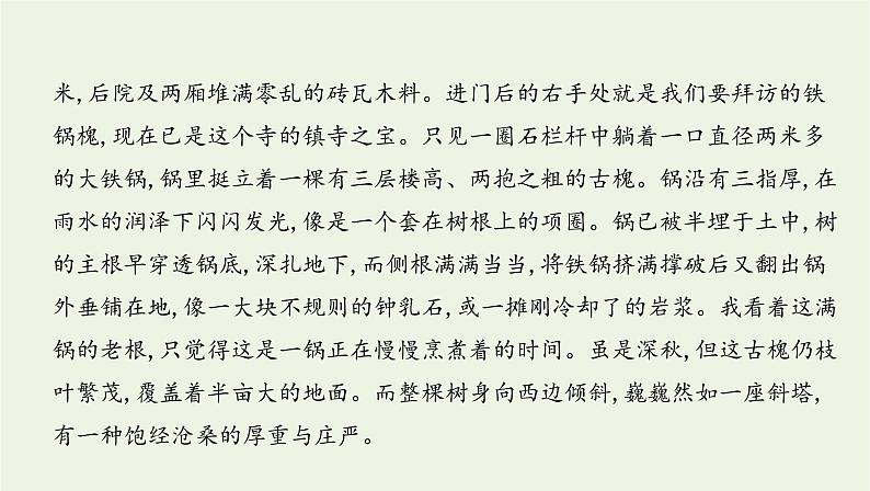 课标版2022版高考语文总复习第一部分现代文阅读专题四文学类文本阅读__散文考点六综合性选择题课件07