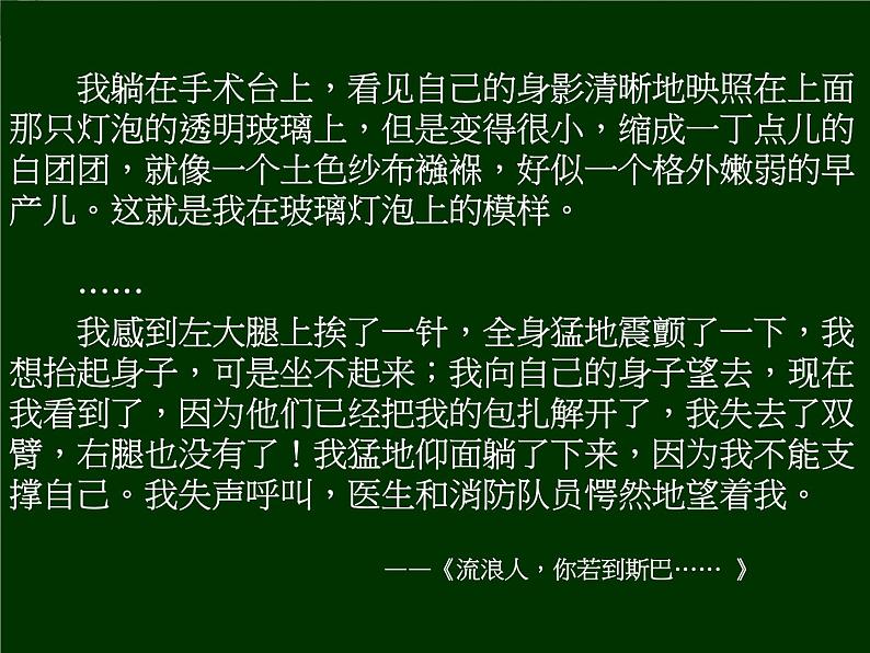 高二语文：《在桥边》课件（人教语文选修《外国小说欣赏》）06