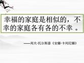 山东省沂水县第一中学高二语文选修外国小说《娜塔莎》课件（新人教版）