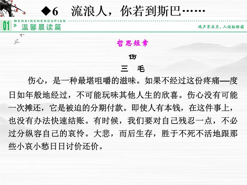 6 流浪人，你若到斯巴……课件PPT第1页