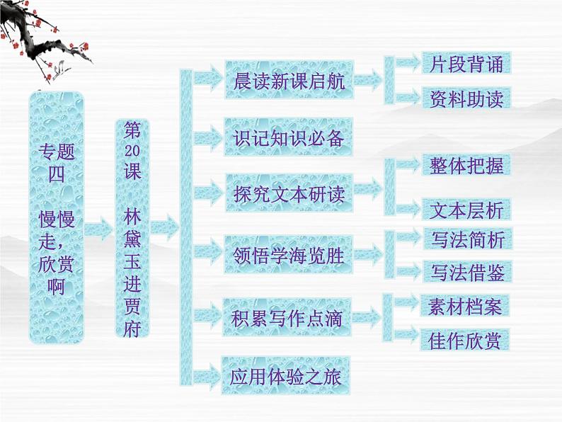 届高一（苏教版）必修二课件：专题四 第20课《林黛玉进贾府》1069第1页