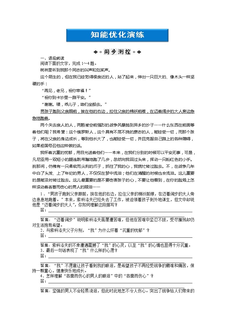 高中语文秋季一轮复习备课系列：2.1《一个人的遭遇（节选）》同步练习4（苏教版必修2）540第1页