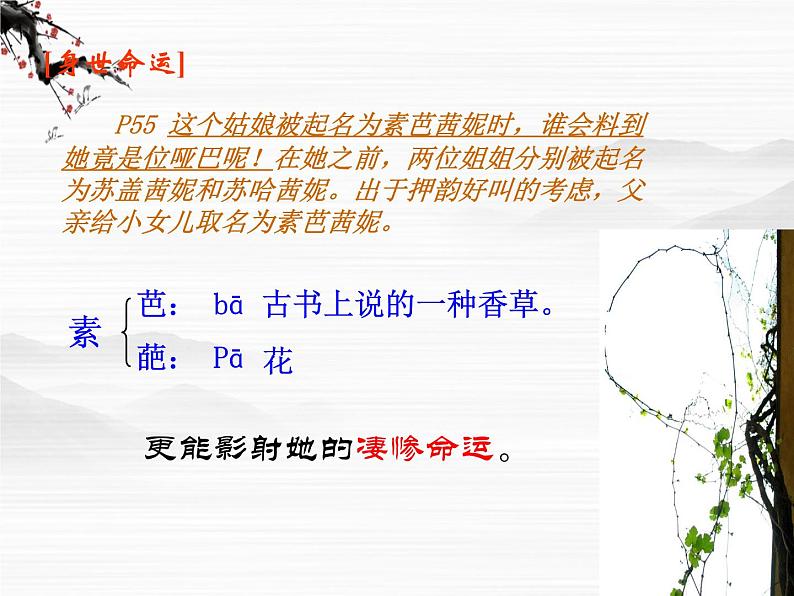 高中语文之外国小说欣赏《素芭》3（人教版选修）课件PPT第7页