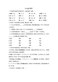 语文9 说“木叶”练习题