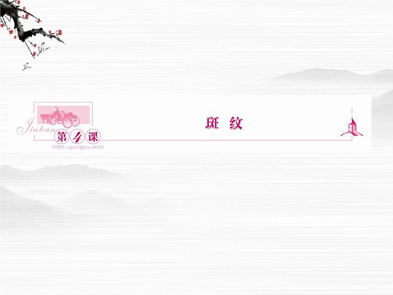 新课标同步导学语文（苏教版必修5）课件：第4课　斑纹2972第1页