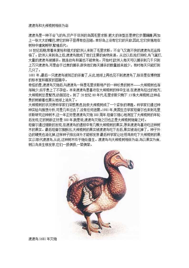 《这个世界的音乐》 同步练习4(北京版必修1)第1页