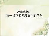 2022届高三语文专题复习：中心论点的确立与表述课件28张