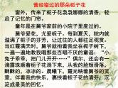 2022届高三语文专题复习：中心论点的确立与表述课件28张