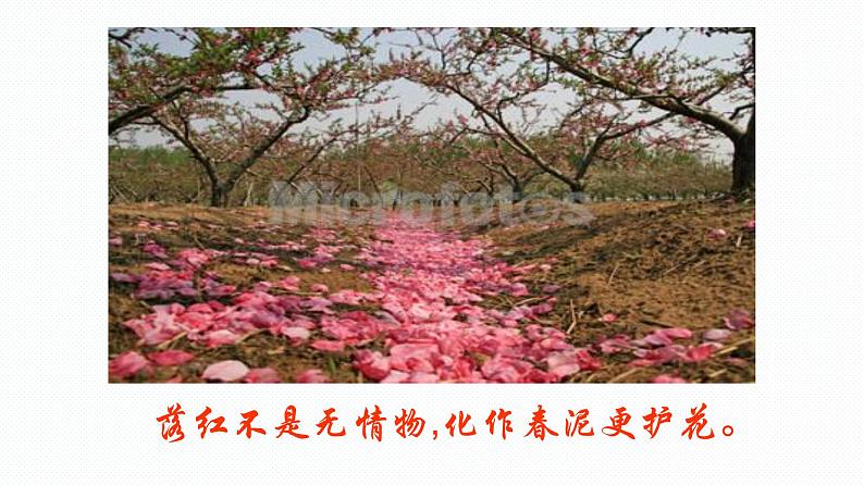 2022届高考语文复习专题诗歌鉴赏画面描绘课件34张第5页