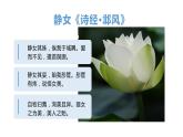 部编版高中语文必修上册《古诗词诵读》课件PPT