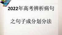 2022届高考语文复习专题：辨析病句之成分划分法（课件21张）