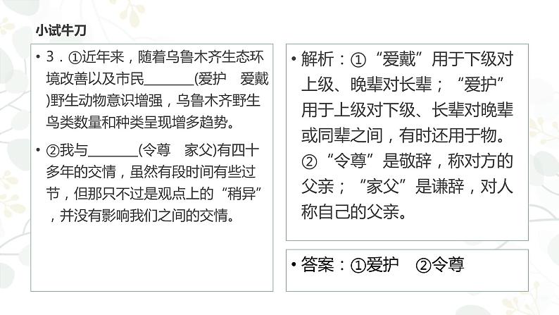 2022届高考语文语言文字运用——正确使用词语课件（44张PPT）第8页