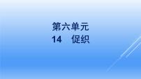 人教统编版必修 下册第六单元14（促织 * 变形记（节选））14.1 促织教课课件ppt