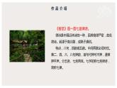 古诗词诵读《客至》（课件）　高中语文部编版选择性必修下册（2022年）