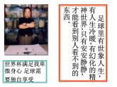 2020-2021学年高中语文部编版选择性必修下册《秦腔》课件（40张）