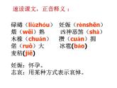 2020-2021学年高中语文部编版选择性必修下册《秦腔》课件（40张）