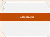 自然选择的证明PPT课件免费下载