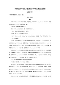 【新课标全国卷】2022届高考语文二轮复习文学类文本阅读题型专练（9）