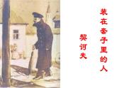 13.2《装在套子里的人》-课件（17张）-2020-2021学年高一语文统编版（2019）必修下册